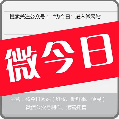 合肥市微今日网络服务 驱动城市数字化转型的智慧引擎