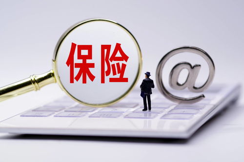 北京银保监局发文规范学平险 投保须坚持自主自愿原则并强化网络服务